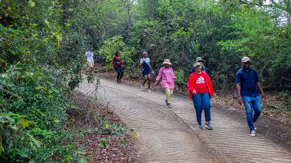 Extreme Adventure Camp - Hiking Trails