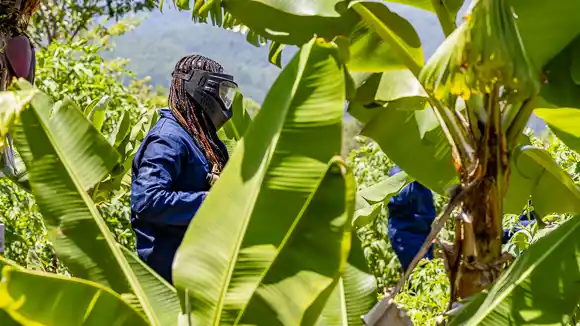 Extreme Adventure Camp - Paintball